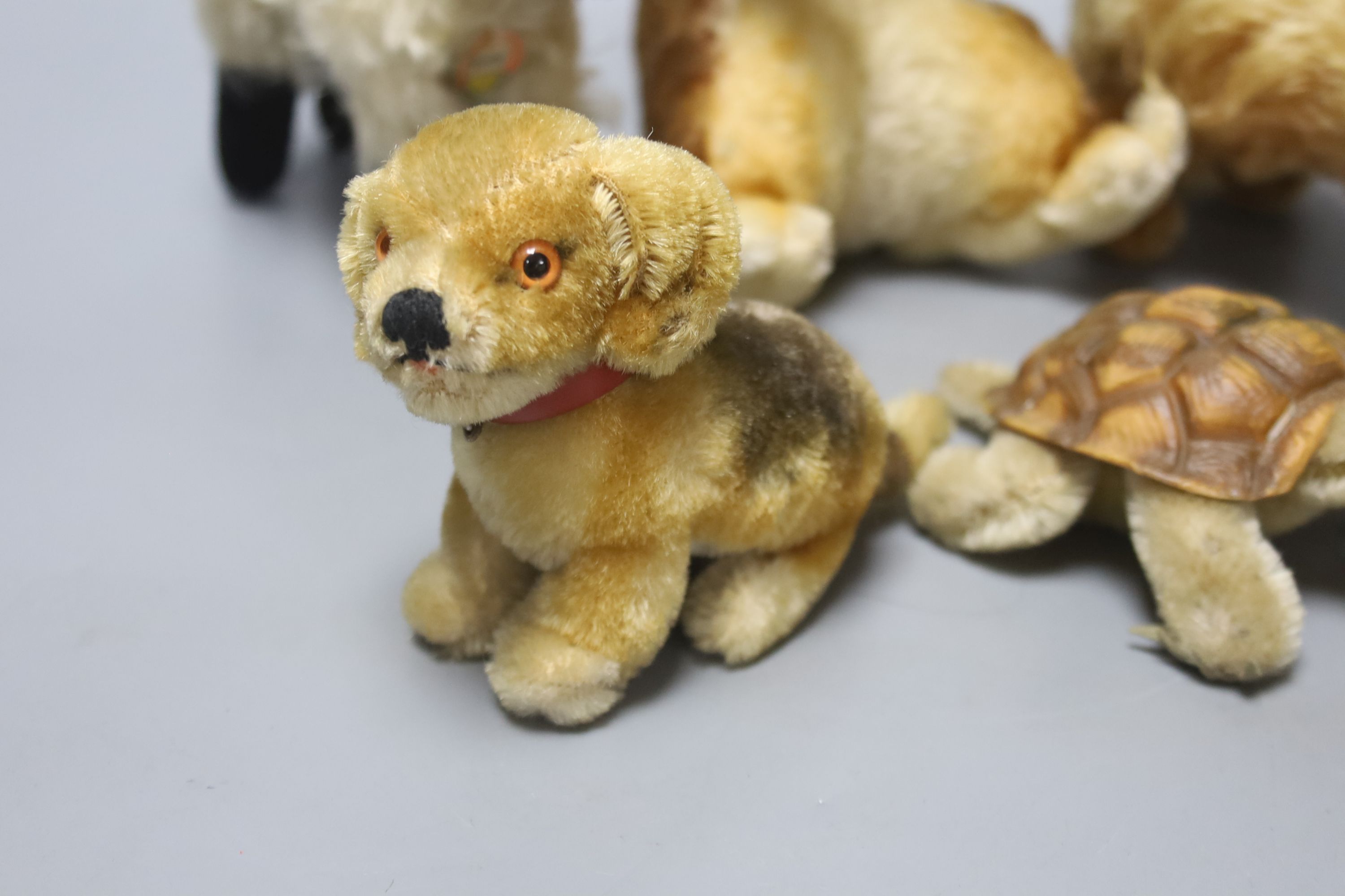 Five 1950's Steiff soft toys